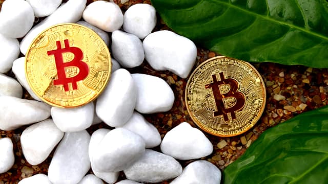 Price Predictions 3/17: BTC, ETH, XRP, SOL and More