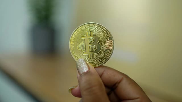 Bitcoin Supply in Profit Near 50%: 655% Rally History