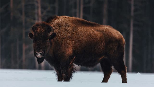 Ether Needs These 3 Flips to Rally Above $2.4K